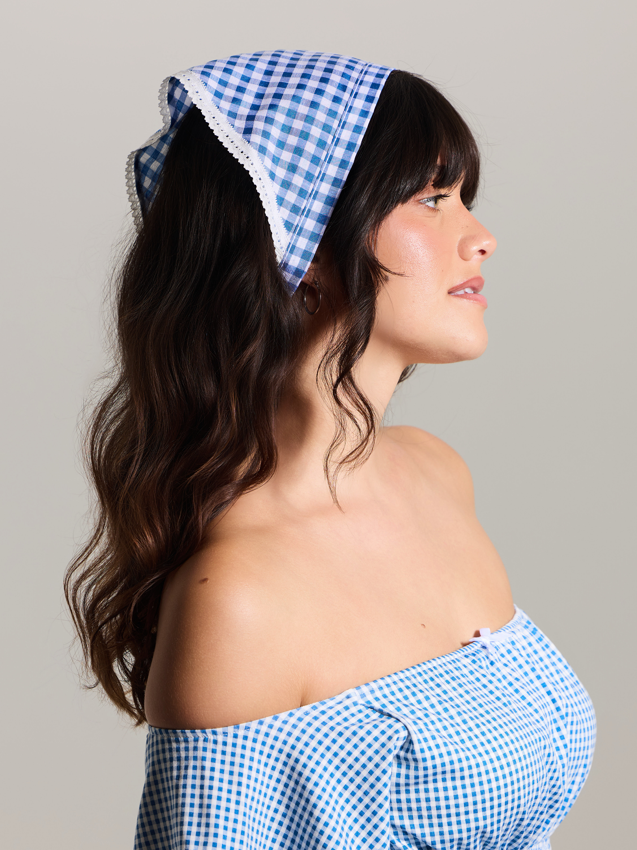 --Blue and White Gingham