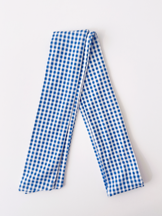 --Blue and White Gingham