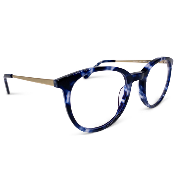 --Blue Tortie
