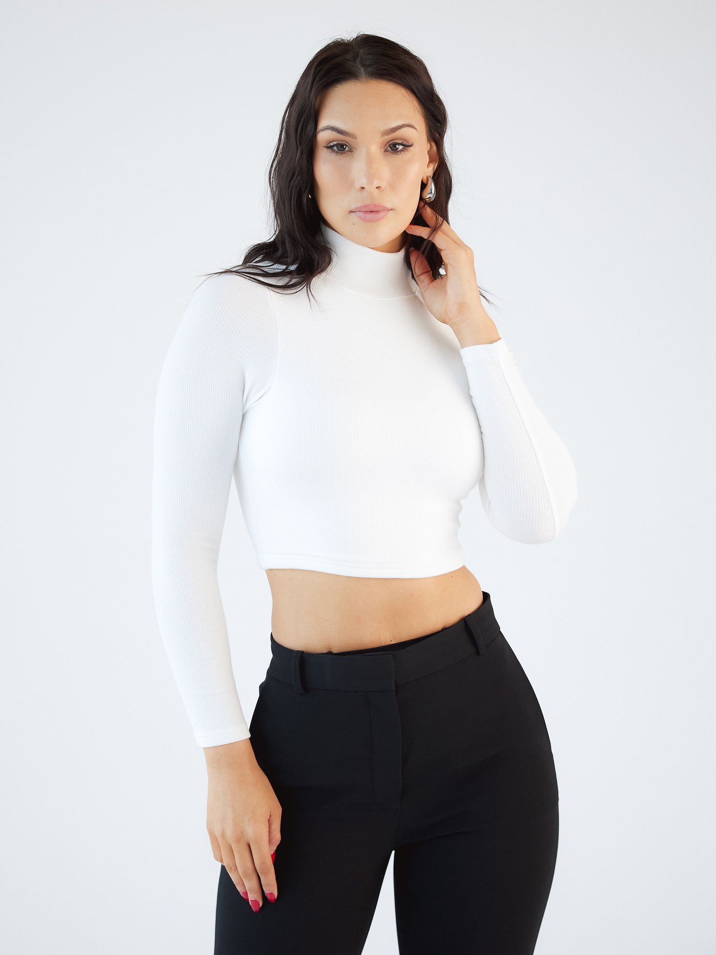 Turtleneck long sleeve top deals