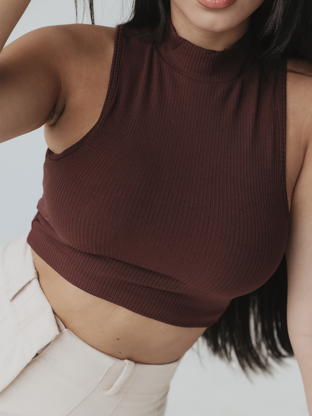 Branchworks ブランチワークス made in japan Pigment Mock Neck Ribbed Mock Neck Brami (Crop) – Klassy Network